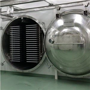 アプリコットの砂糖漬けフルーツ プリザーブドフルーツ凍結乾燥機