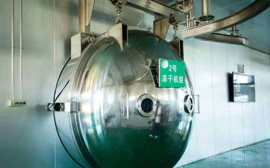 パイロットの使用のその他の凍結乾燥機は、食品の栄養素の損失を回避します
